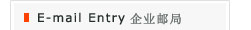 e-mail entry